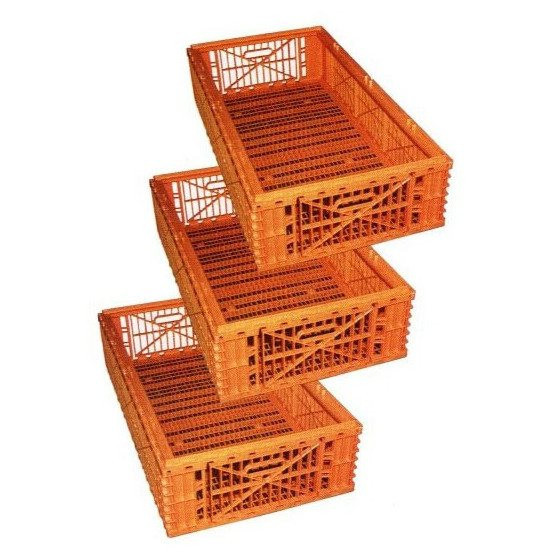 Plastic crates for containers Burdis