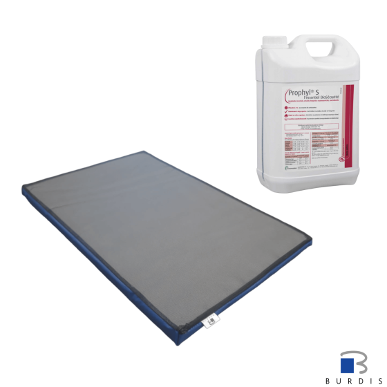 Kit Boot disinfection mat + disinfectant solution 5L