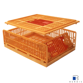 Mondial Carfed collapsible poultry crate