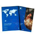 Catalogue Burdis 2026/2027