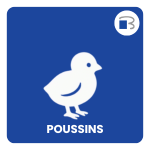 poussin