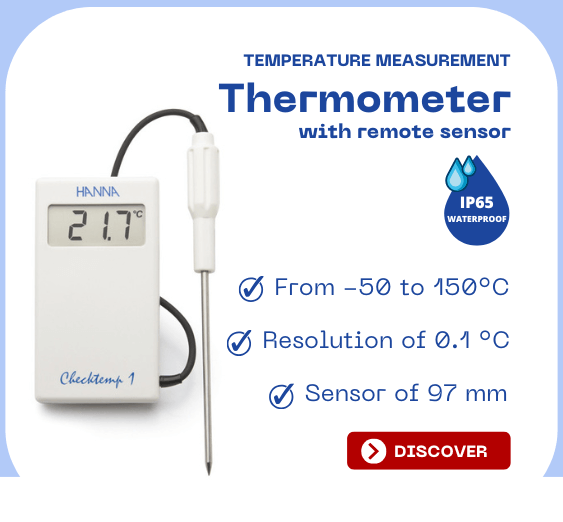 Precision thermometer with remote sensor burdis